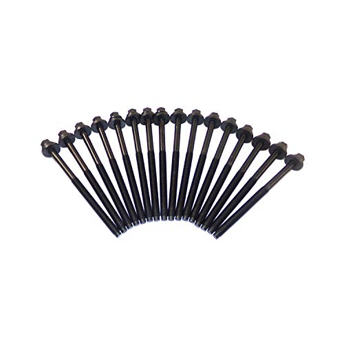 Cylinder Head Gasket set with Head Bolt Kit
