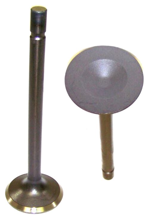 Exhaust Valve 1993-1995 Ford 5.0L-5.8L