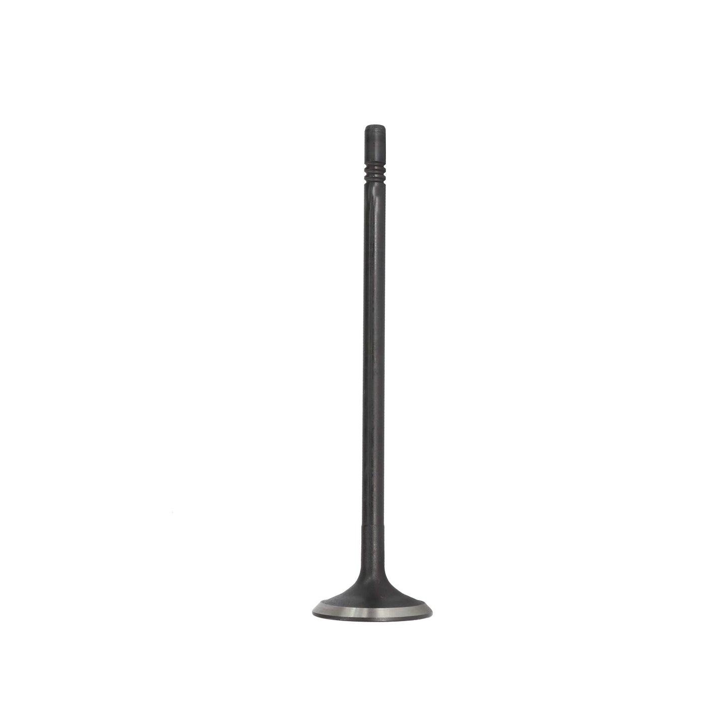 2019 Ram ProMaster City 2.4L Exhaust Valve