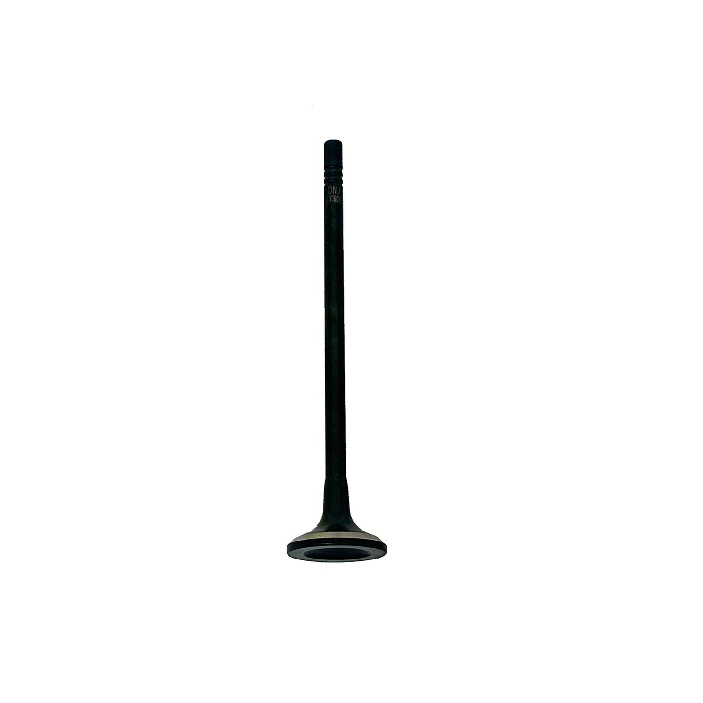 Exhaust Valve 2016-2019 Chevrolet 1.5L