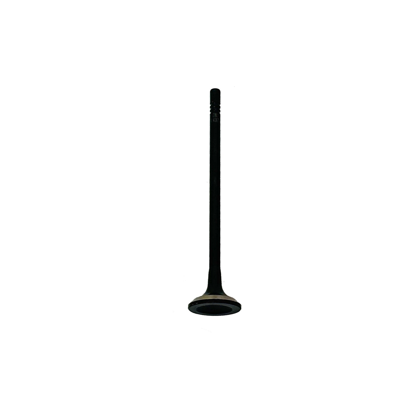 Exhaust Valve 2016-2022 Chevrolet 1.4L