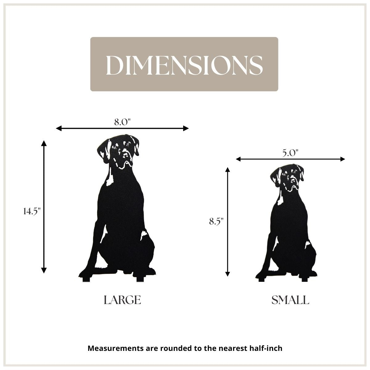 Weimaraner