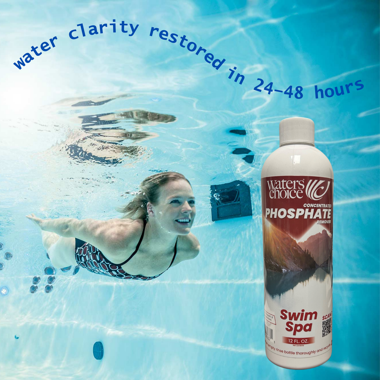 12 oz. Phosphate Remover for SWIM Spa