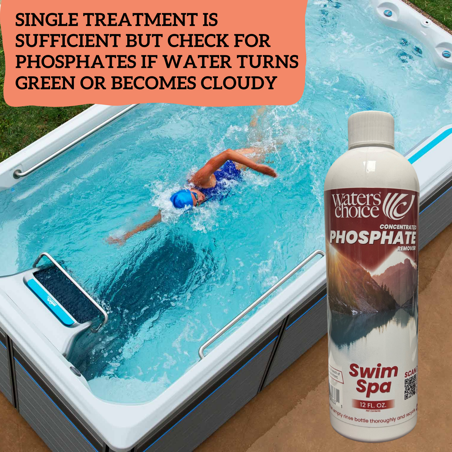 12 oz. Phosphate Remover for SWIM Spa