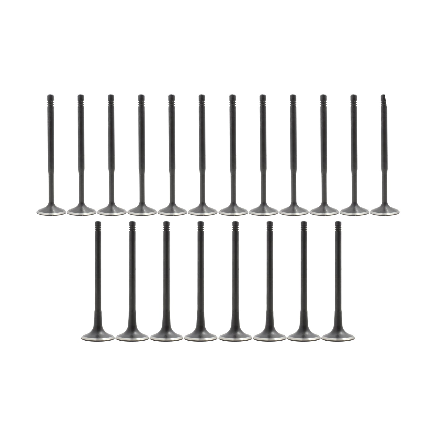 Exhaust Intake Valve Kit 1997-2006 Audi 1.8L