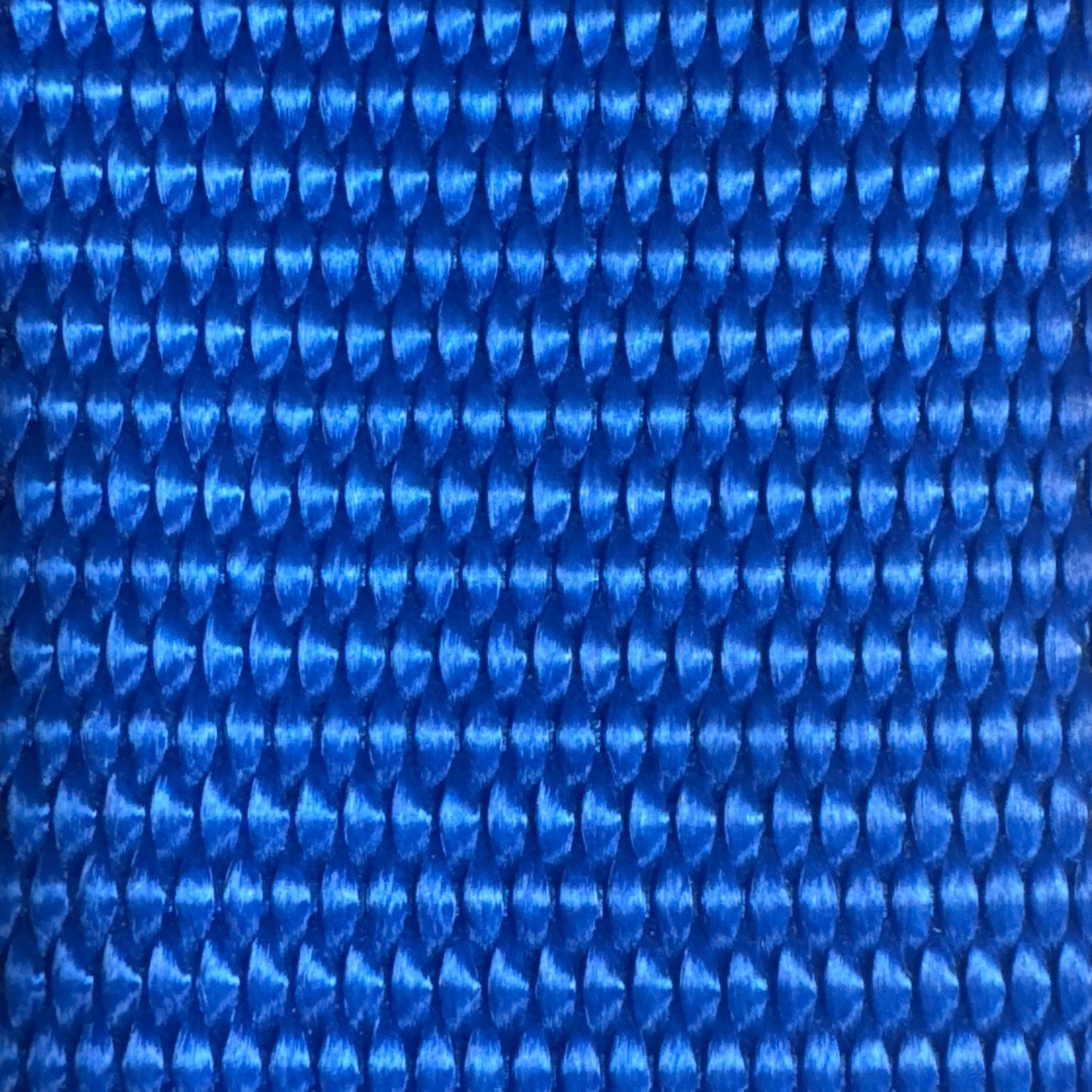 1" x 6 Ft Endless Ratchet Strap | COLOR OPTIONS