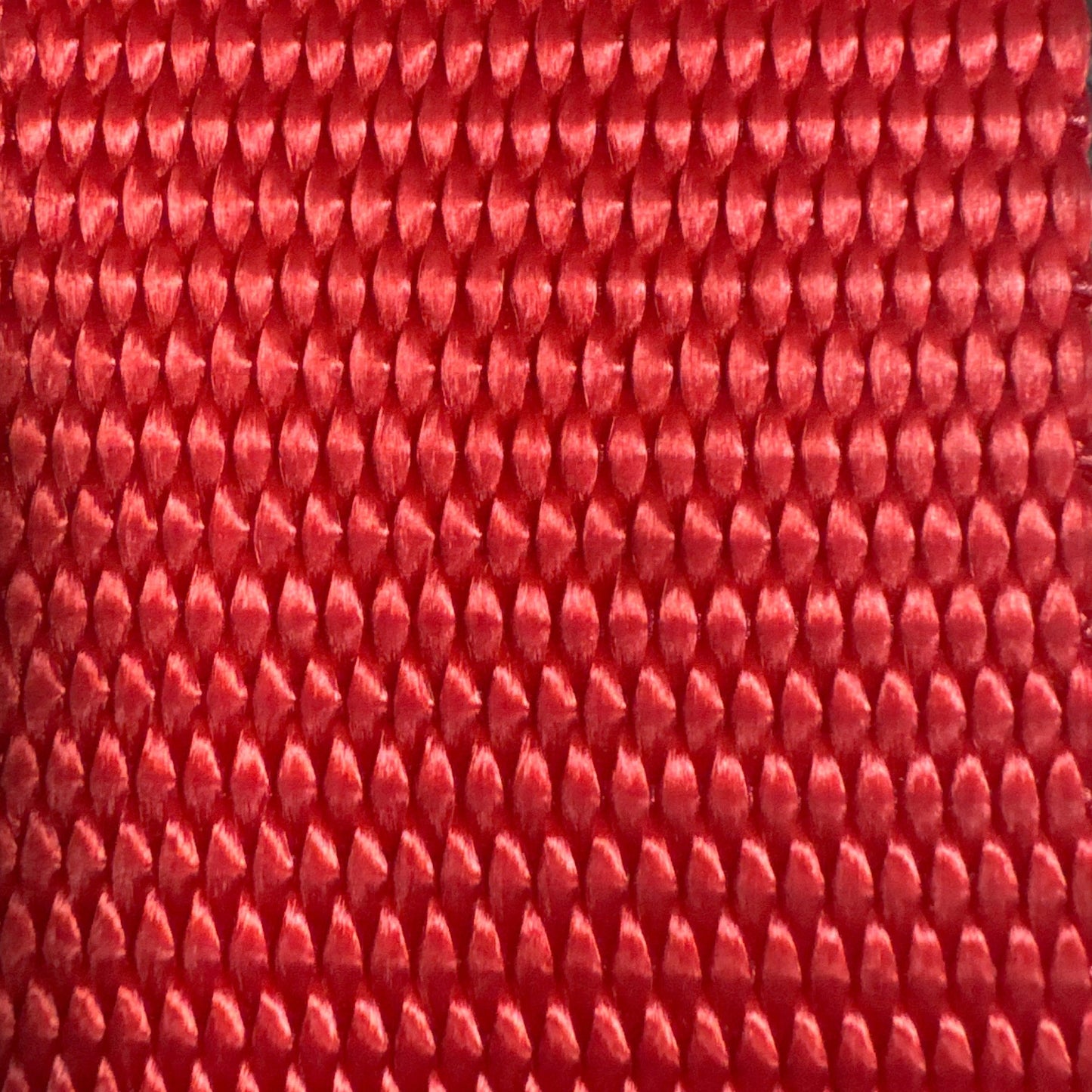 1" x 6 Ft Endless Ratchet Strap | COLOR OPTIONS
