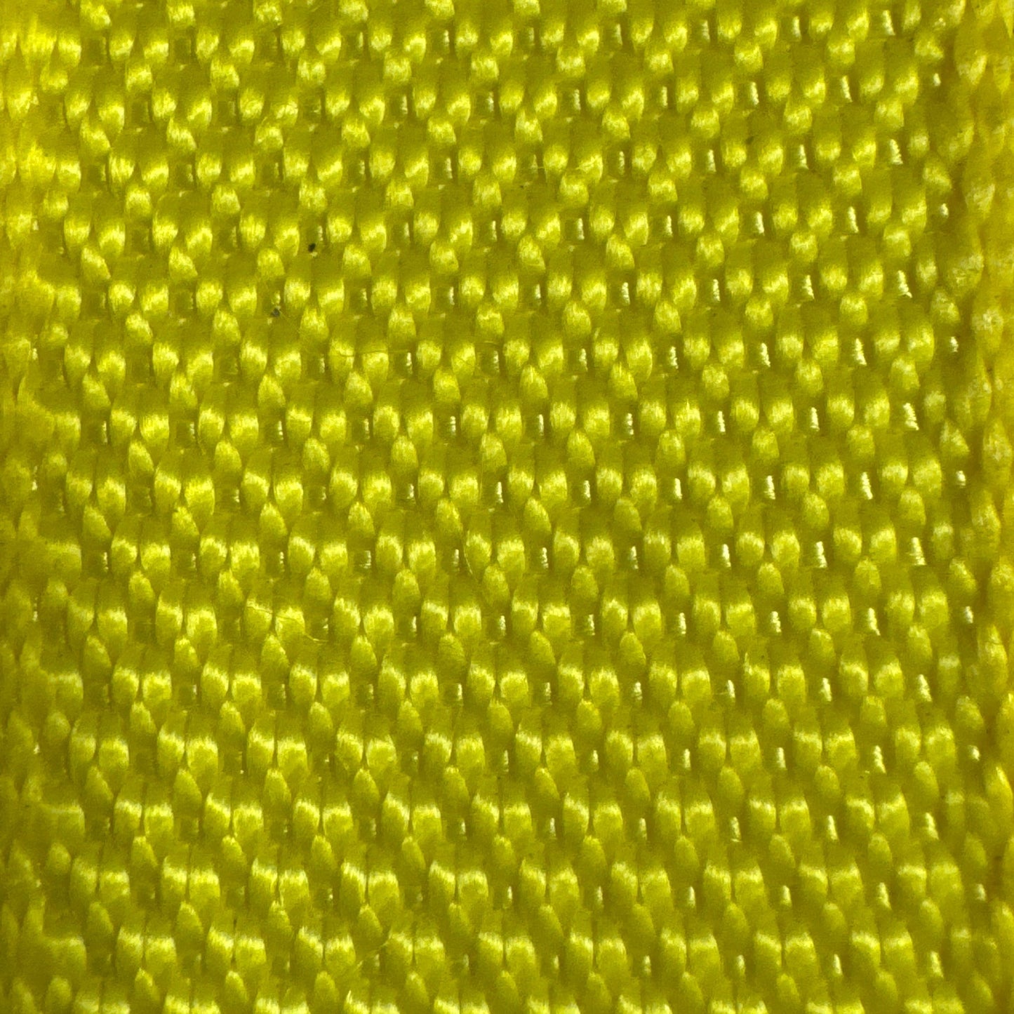 1" x 6 Ft Endless Ratchet Strap | COLOR OPTIONS
