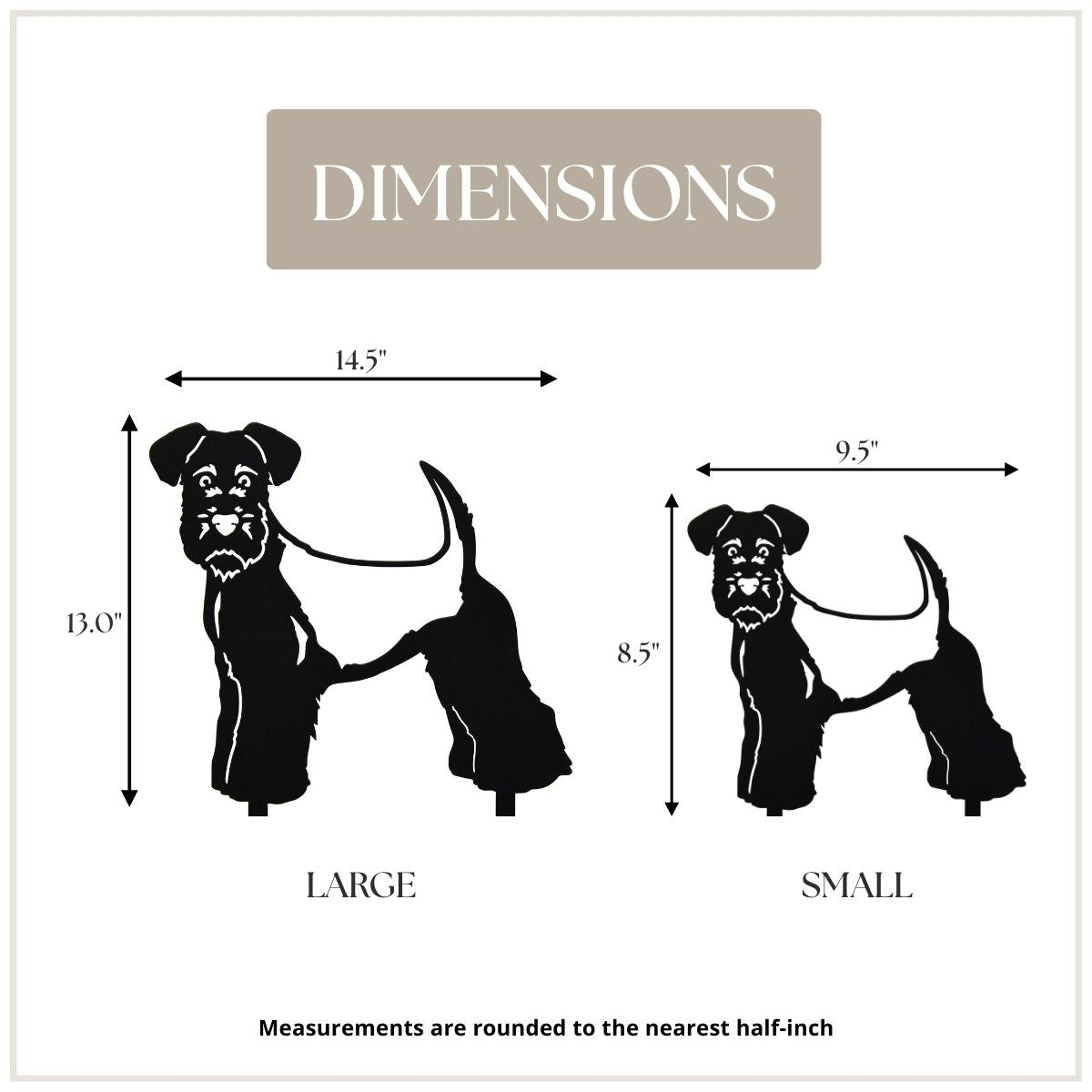 Welsh Terrier