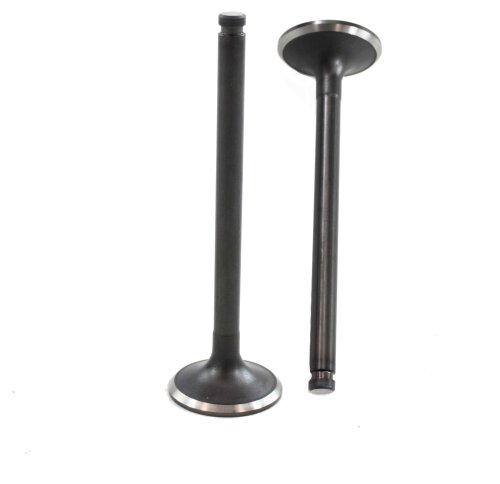 Exhaust Valve 1973-1984 Nissan 1.8L-2.8L