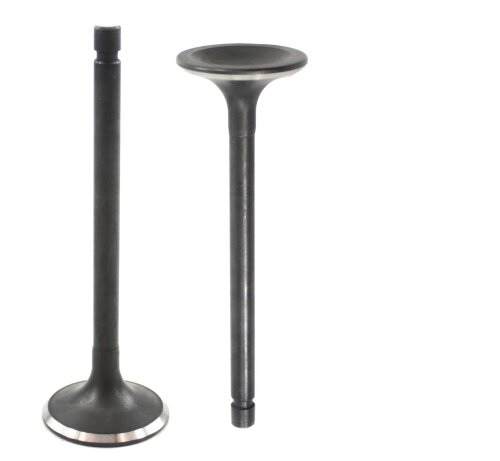 Exhaust Valve 1982-1989 Nissan 2.0L