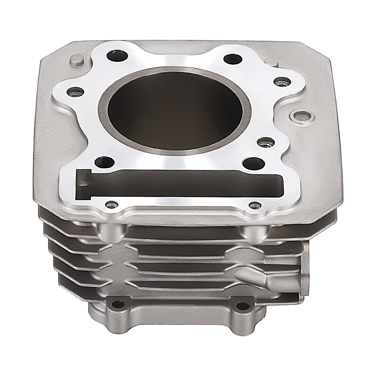 Engine Cylinder Piston Rebuild Kit compatible For Honda TRX 300 Fourtrax FW 2x4 4x4 88-00