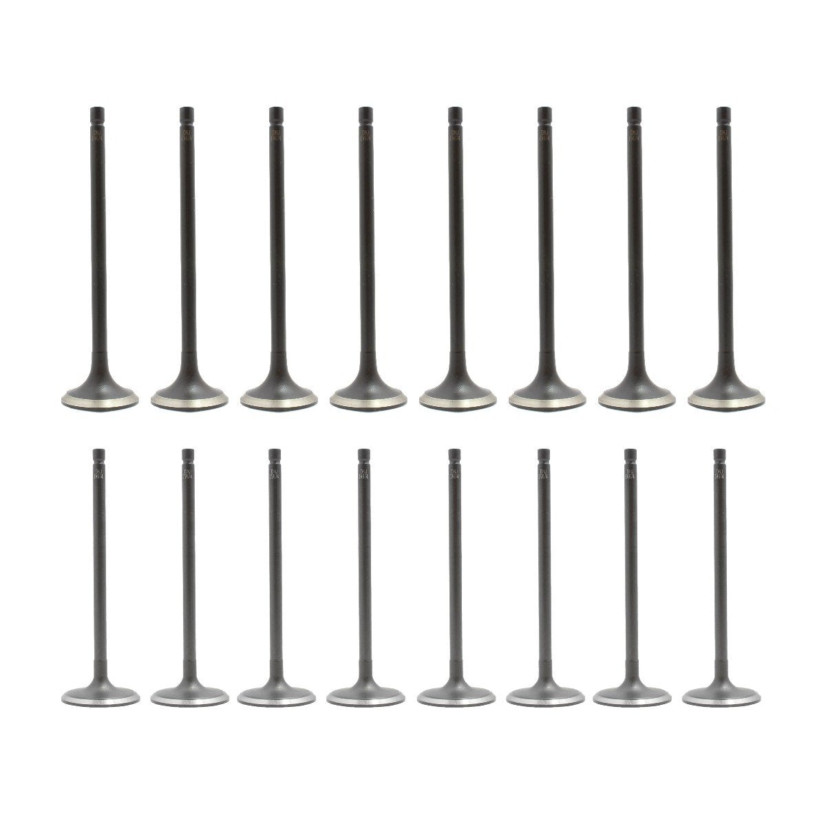 Exhaust / Intake Valve Kit 2013-2019 Nissan 1.8L