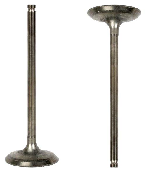 Intake Valve 2009-2013 Suzuki 2.4L