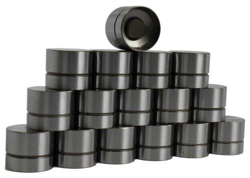 Valve Lifter Kit 1991-2002 Buick,Chevrolet,Oldsmobile,Pontiac,Saturn 1.9L-2.4L