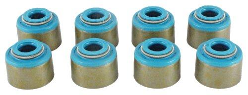 Valve Stem Oil Seal Set 1994-2002 Dodge,Jeep 2.5L