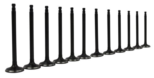 Exhaust / Intake Valve Kit 1995-2004 INFINITI,Mercury,Nissan 3.0L-3.3L