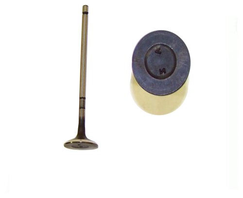 Exhaust Valve 2008-2022 Lexus,Pontiac,Scion,Toyota 1.8L-2.0L