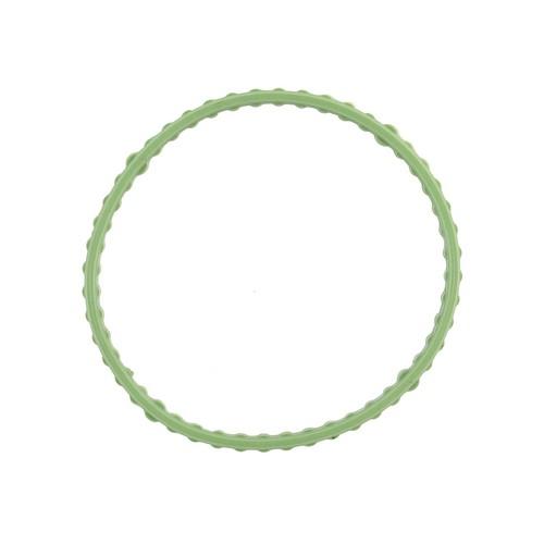 Fuel Injection Plenum Gasket 2010-2016 Chevrolet,GMC 6.6L