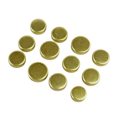 1999 Toyota Tacoma 2.7L Expansion Plug