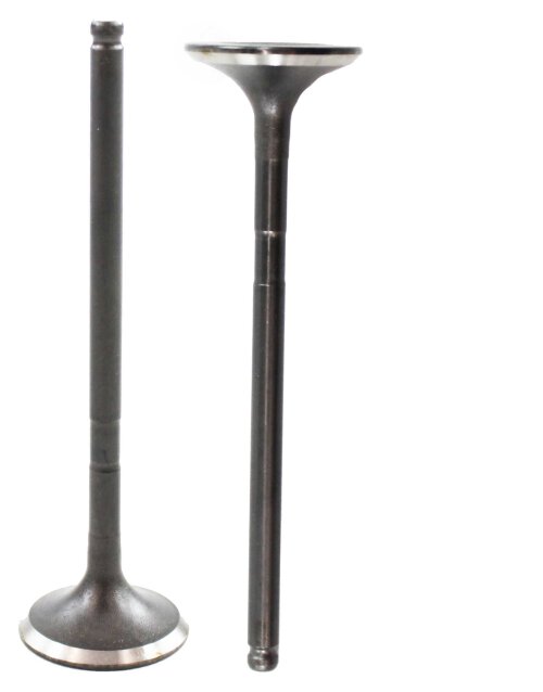 Exhaust Valve 2003-2022 Toyota 4.0L