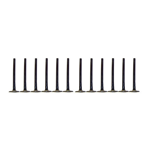 Exhaust / Intake Valve Kit 1989-1995 Ford,Lincoln,Mercury 3.8L