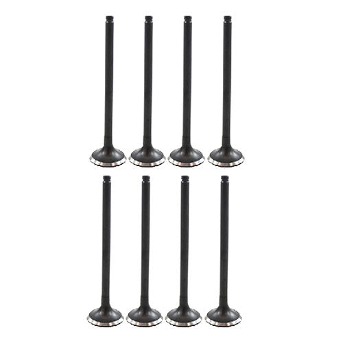 Exhaust / Intake Valve Kit 2001-2002 Kia 1.5L