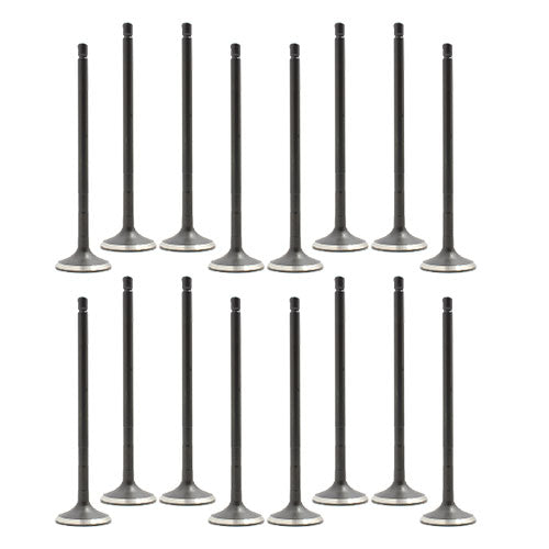 Exhaust / Intake Valve Kit 2008-2022 Lexus,Pontiac,Scion,Toyota 1.8L-2.0L