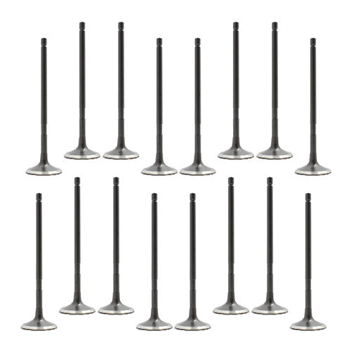 Exhaust / Intake Valve Kit 2009-2019 Lexus,Scion,Toyota 2.5L-2.7L
