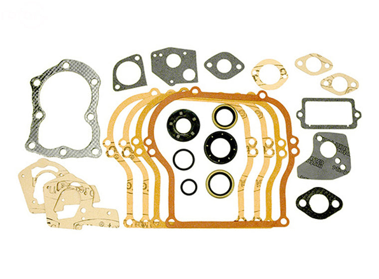 Rotary 14548 495603 Fits Briggs & Stratton Gasket Set
