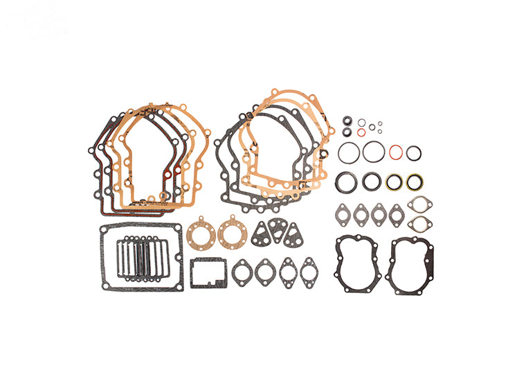 Rotary 15655 495868 Fits Briggs & Stratton Gasket Set