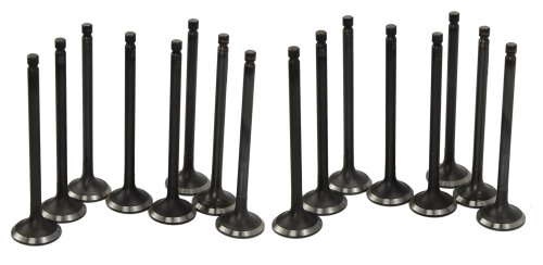 Exhaust / Intake Valve Kit 1996-2001 Hyundai 1.8L-2.0L