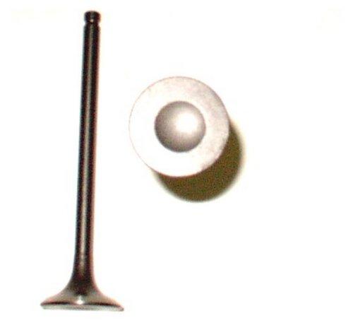 2000 Nissan Sentra 1.8L Exhaust Valve