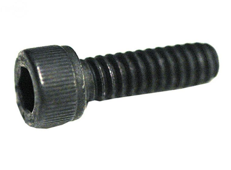Rotary 3256 530-0015201 Fits Poulan Socket Screw 10-24 X 5/8"