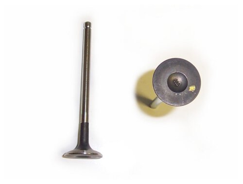 Exhaust Valve 2004-2008 Chevrolet 1.6L