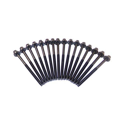 Cylinder Head Gasket set with Head Bolt Kit