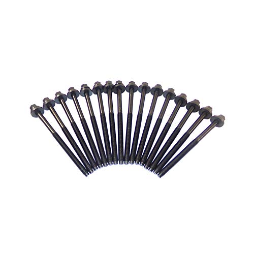 Cylinder Head Gasket set with Head Bolt Kit