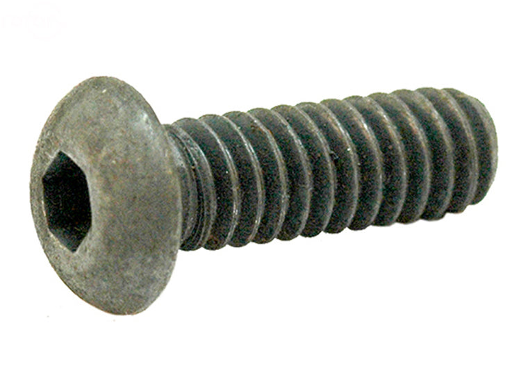 5517 Rotary Scraper Bar Bolts Snowblower