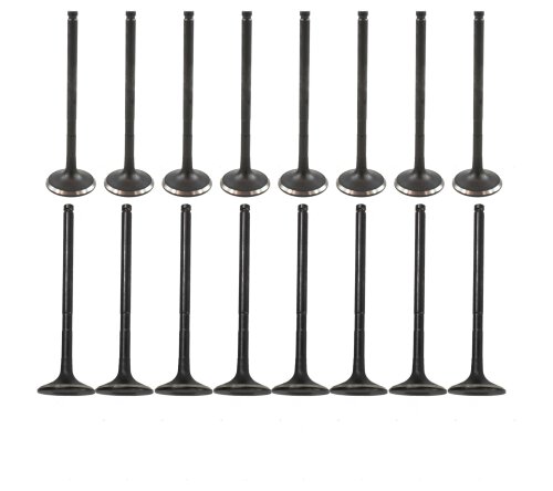 Exhaust / Intake Valve Kit 2001-2015 Lexus, Pontiac, Scion, Toyota 2.0L-2.4L L4