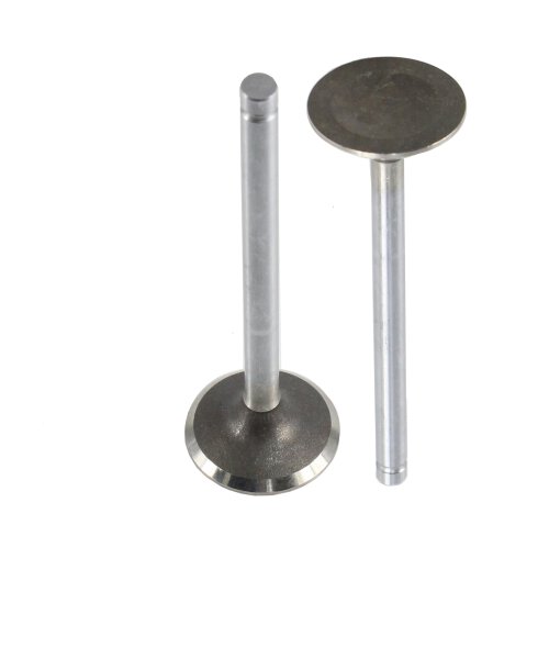 Exhaust Valve 1991-1997 Chevrolet,Oldsmobile,Pontiac 3.4L