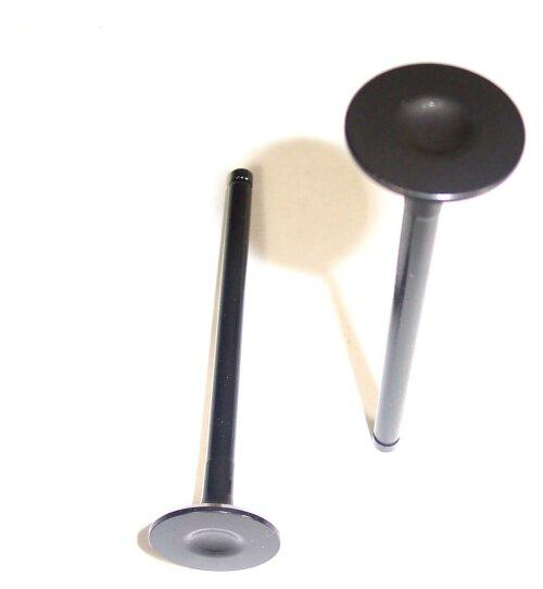 2000 Daewoo Lanos 1.6L Exhaust Valve