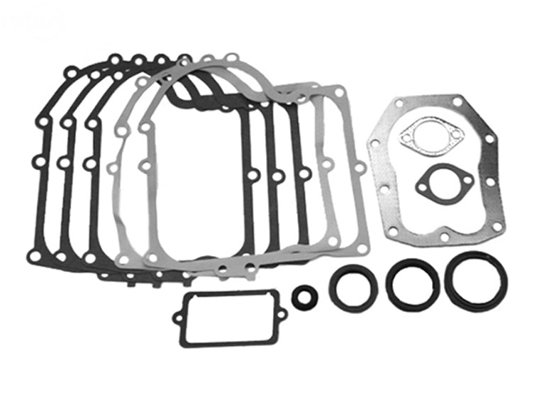 Rotary 9261 494241 Fits Briggs & Stratton Gasket Set