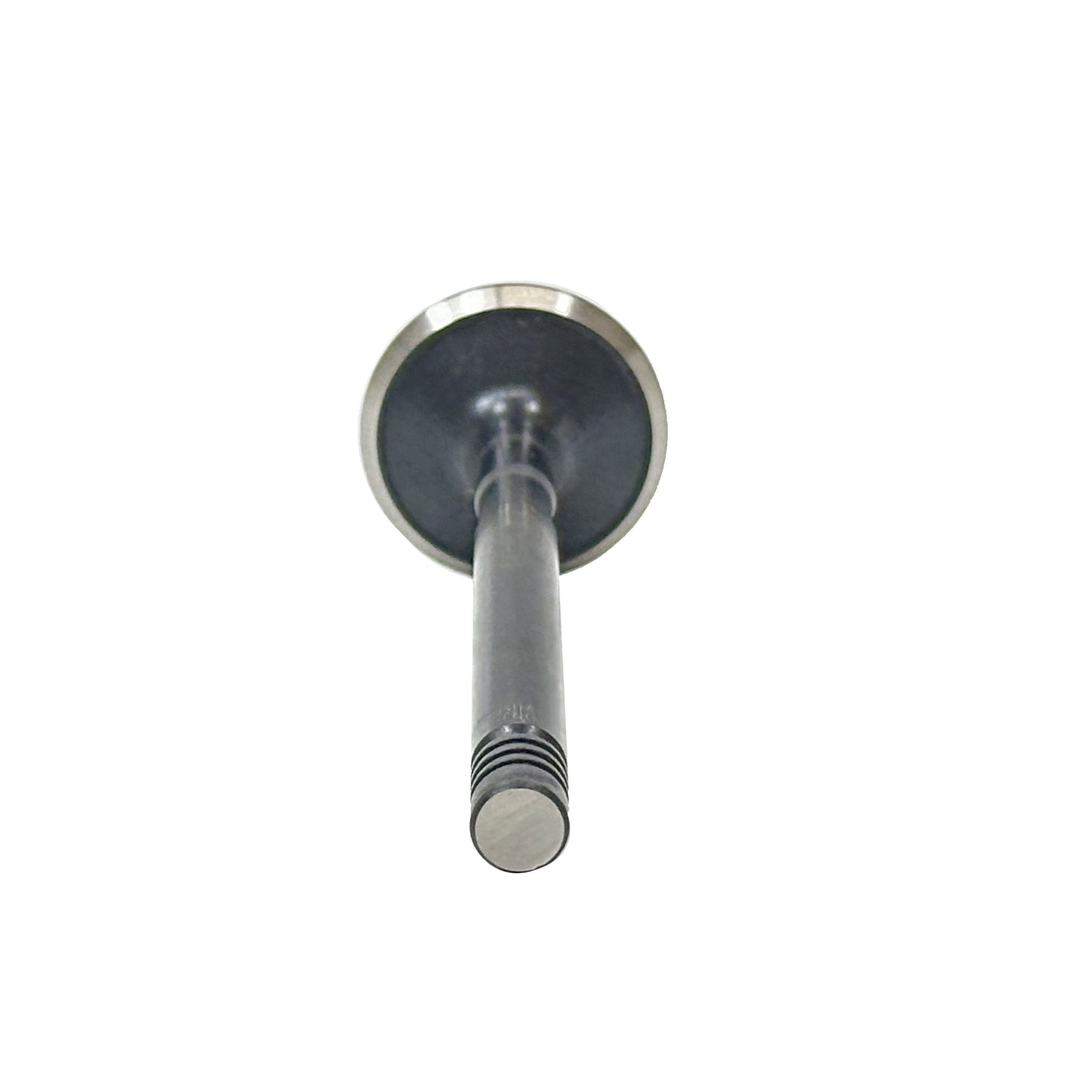 1976 Dodge Coronet 5.2L Exhaust Valve