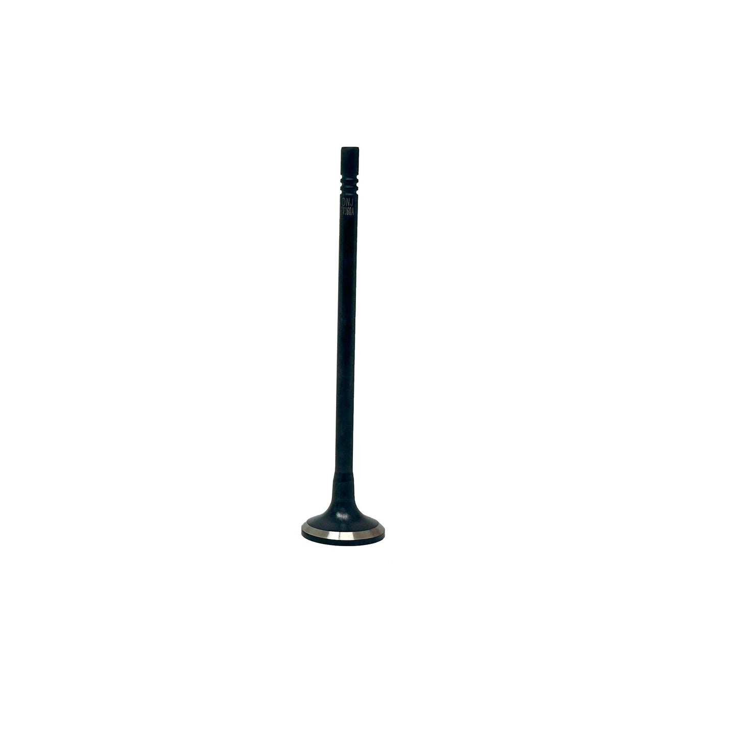 Exhaust Valve 2016-2019 Chevrolet 1.5L