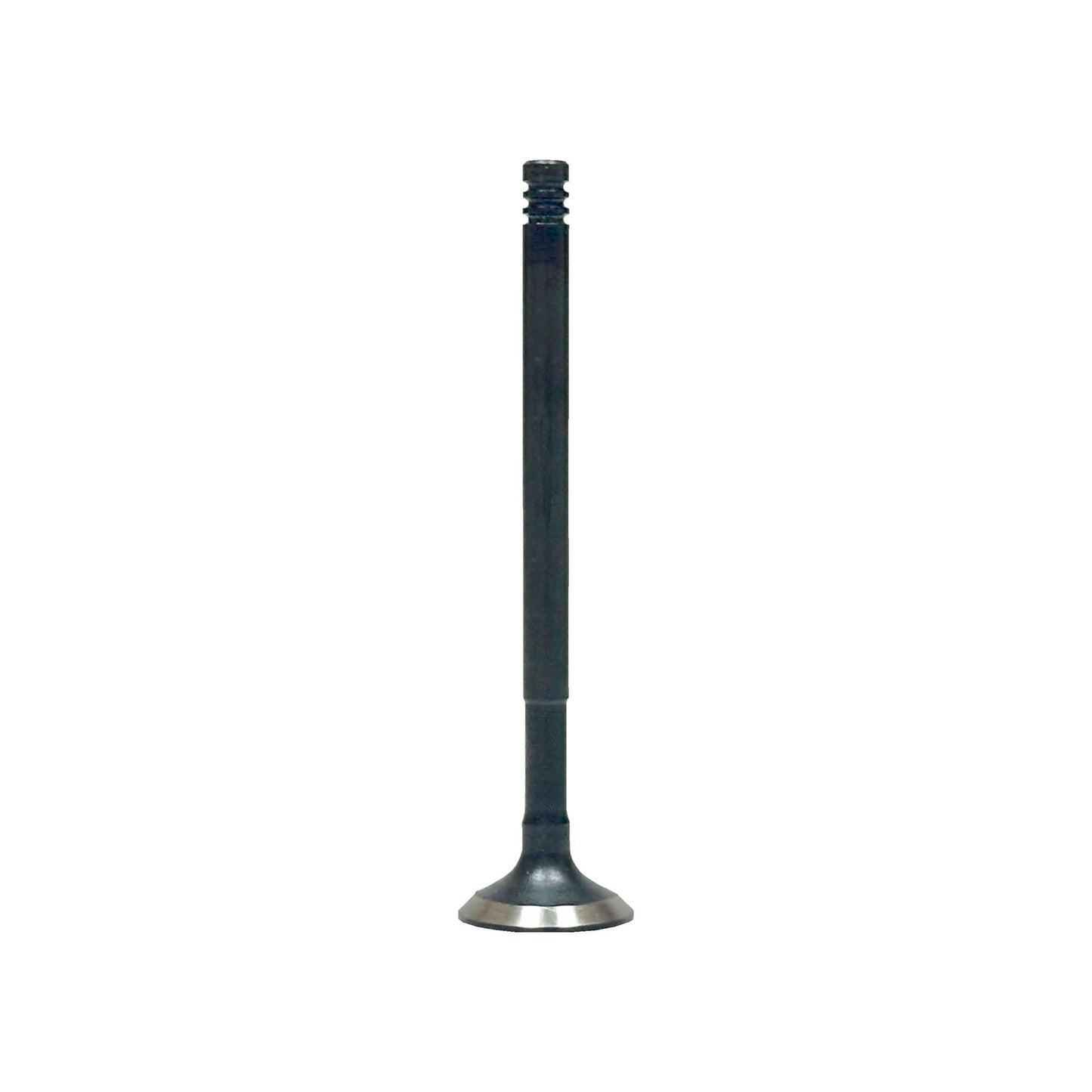 Exhaust Valve 2012-2017 Dodge,Fiat 1.4L