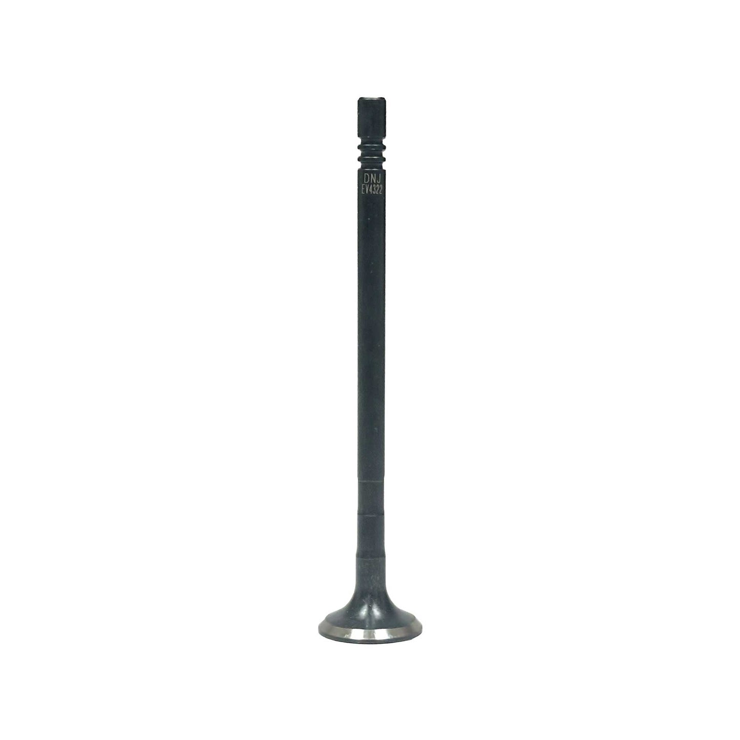 Exhaust Valve 2015-2017 Ford 3.2L