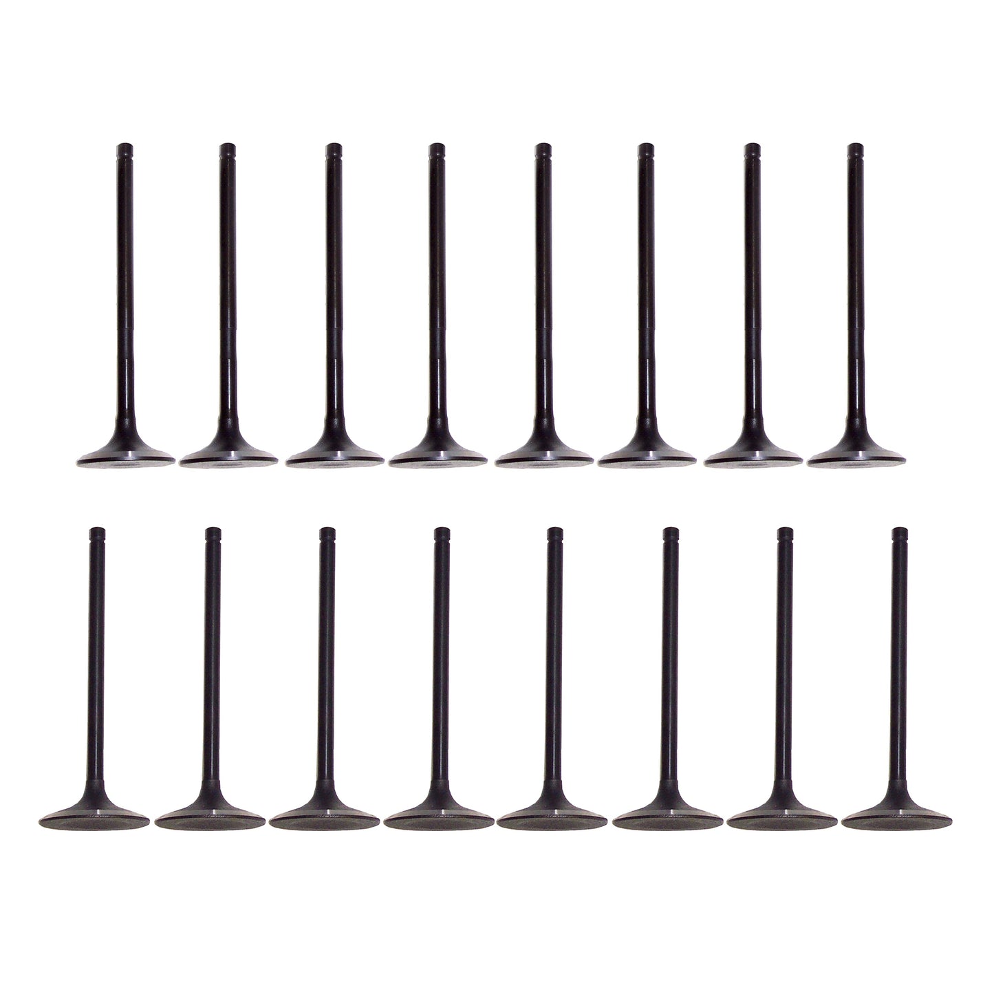 Exhaust Intake Valve Kit 2012-2022 Ford 2.0L