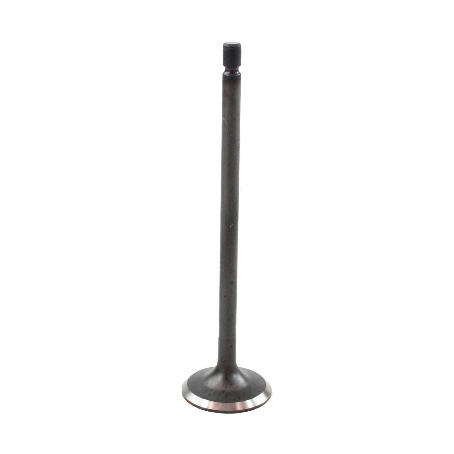 Exhaust Valve 1990-1995 Mazda 3.0L