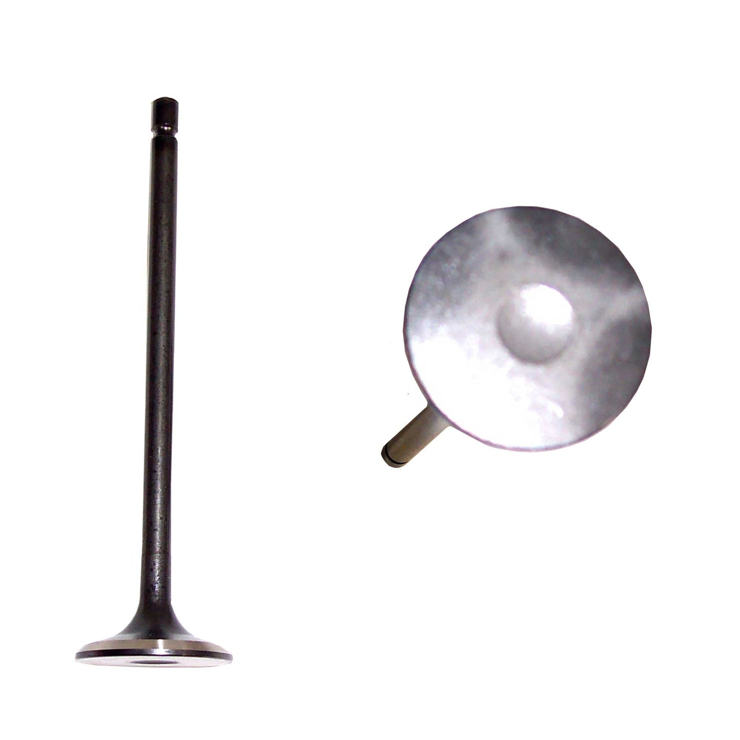 Exhaust Valve 1990-1995 Mazda 3.0L