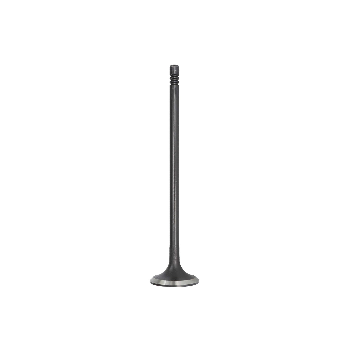 2009 Mini Cooper 1.6L Exhaust Valve